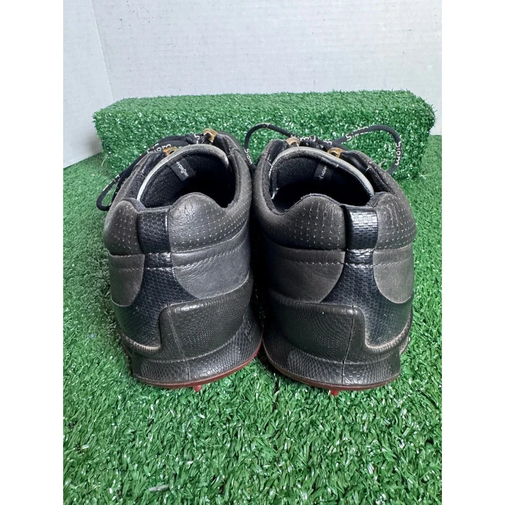 Ecco these could